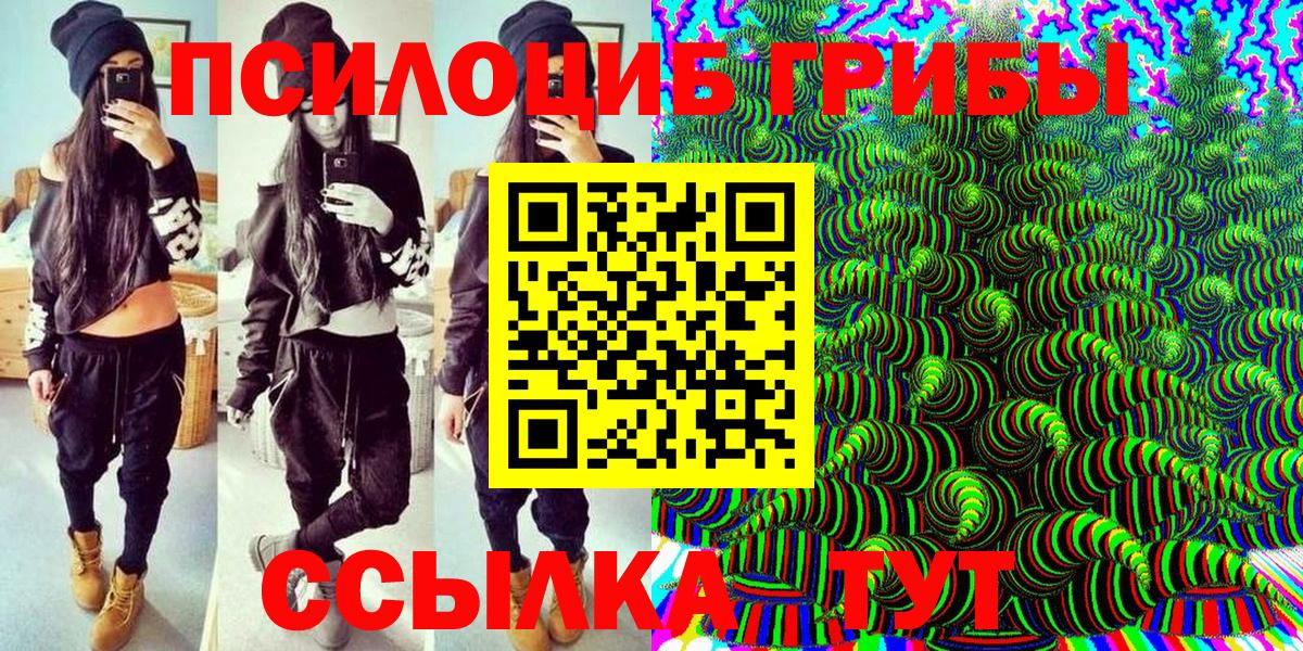 Можайск  Галлюциногенные грибы прущие грибы  Вход с VPN 